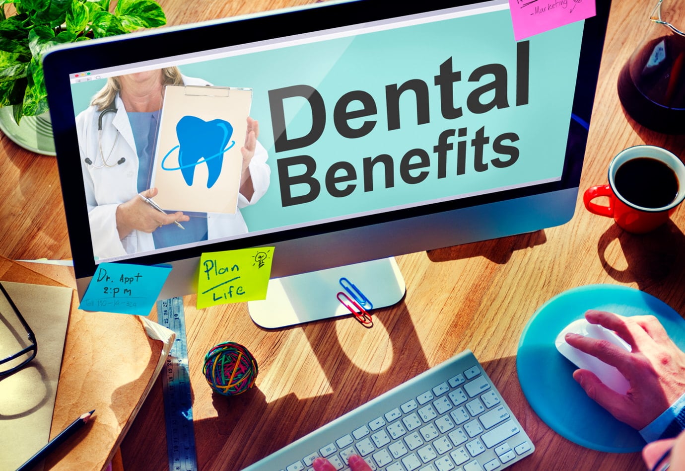 170843558265d4a87e9e8cb