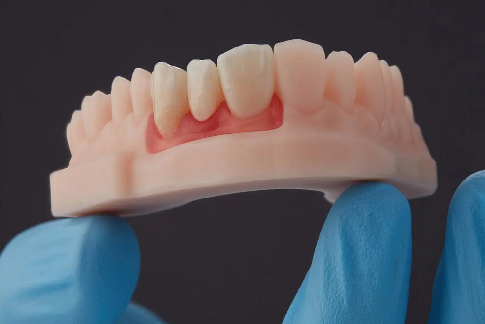 A person holding a detailed model of a tooth, demonstrating dental anatomy and structure. 