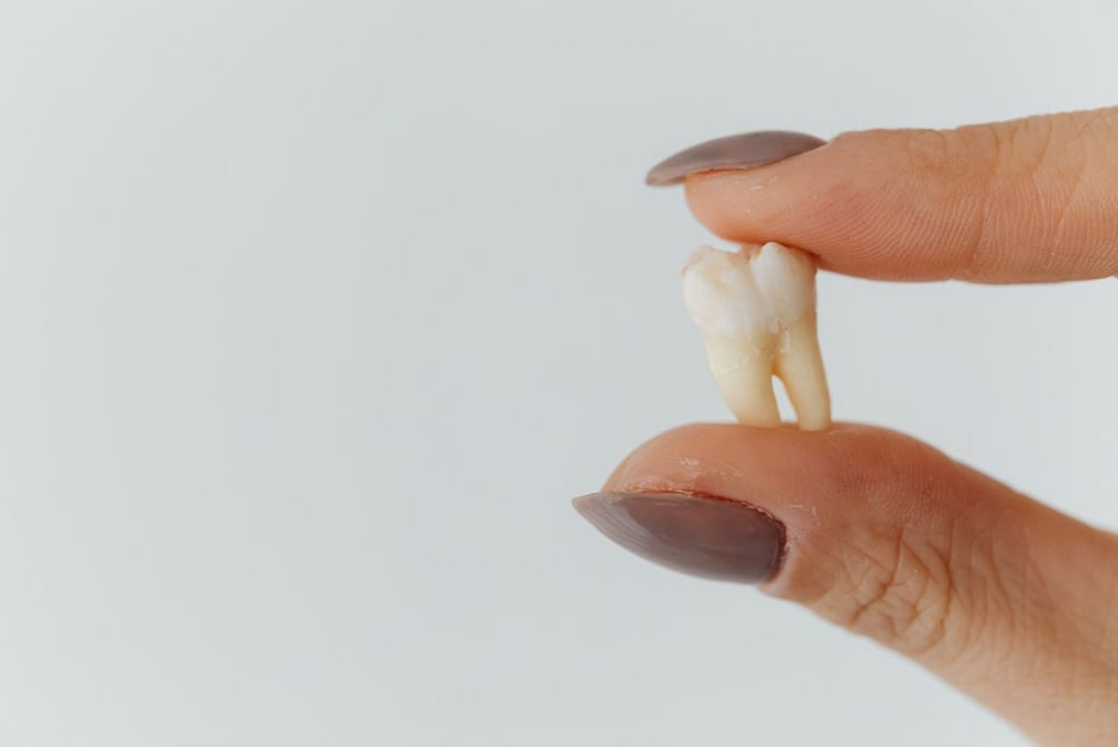 Fingers with painted nails hold a single tooth against a plain background, highlighting dental care or tooth extraction.